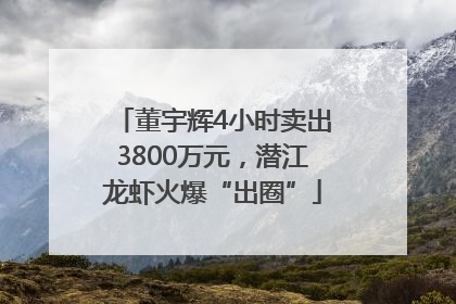 董宇辉4小时卖出3800万元，潜江龙虾火爆“出圈”
