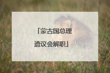 蒙古国总理遭议会解职
