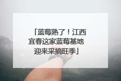 蓝莓熟了！江西宜春这家蓝莓基地迎来采摘旺季