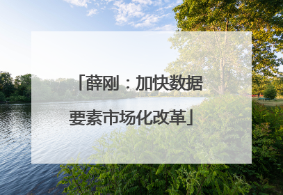薛刚：加快数据要素市场化改革