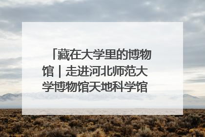 藏在大学里的博物馆｜走进河北师范大学博物馆天地科学馆：在校园里赴一场“宇宙之约”