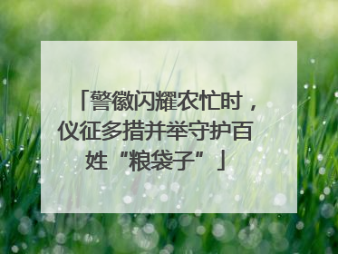 警徽闪耀农忙时，仪征多措并举守护百姓“粮袋子”