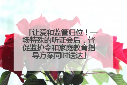 让爱和监管归位！一场特殊的听证会后，督促监护令和家庭教育指导方案同时送达