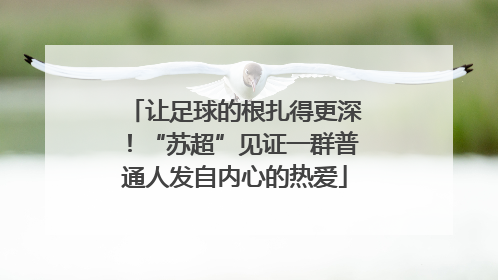 让足球的根扎得更深！“苏超”见证一群普通人发自内心的热爱
