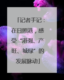 记者手记：在日照港，感受“港强、产旺、城绿”的发展脉动
