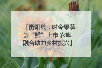 衡阳县：时令果蔬争“鲜”上市 农旅融合助力乡村振兴