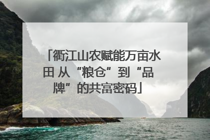 衢江山农赋能万亩水田 从“粮仓”到“品牌”的共富密码