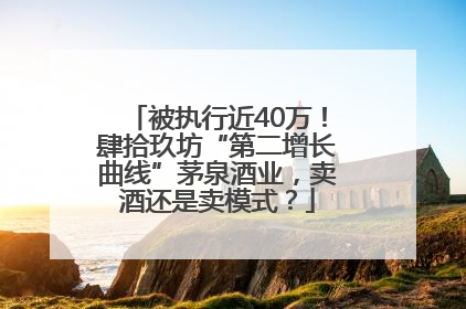 被执行近40万！肆拾玖坊“第二增长曲线”茅泉酒业，卖酒还是卖模式？