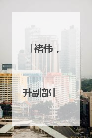 褚伟，升副部