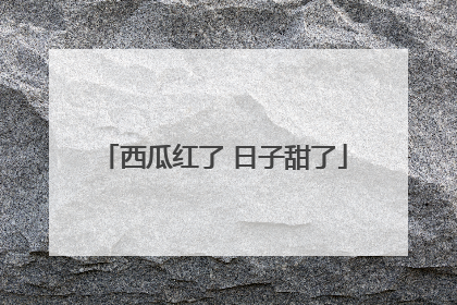 西瓜红了 日子甜了