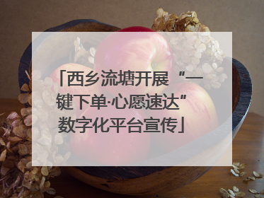 西乡流塘开展“一键下单·心愿速达”数字化平台宣传