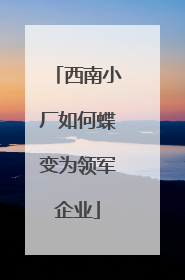 西南小厂如何蝶变为领军企业