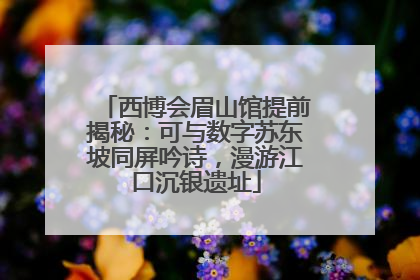 西博会眉山馆提前揭秘：可与数字苏东坡同屏吟诗，漫游江口沉银遗址