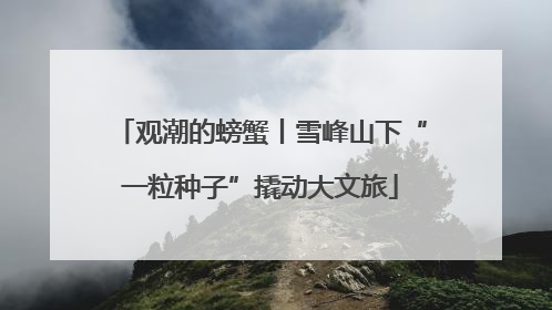 观潮的螃蟹丨雪峰山下“一粒种子”撬动大文旅