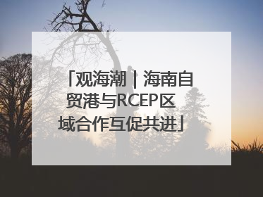 观海潮｜海南自贸港与RCEP区域合作互促共进