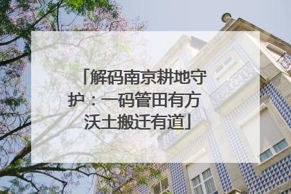 解码南京耕地守护：一码管田有方 沃土搬迁有道