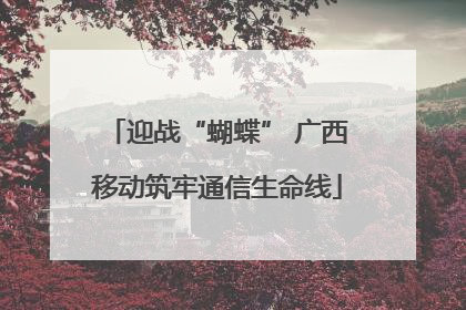 迎战“蝴蝶” 广西移动筑牢通信生命线