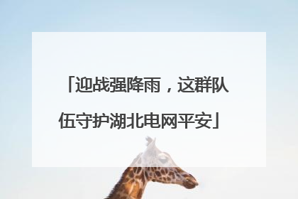 迎战强降雨，这群队伍守护湖北电网平安