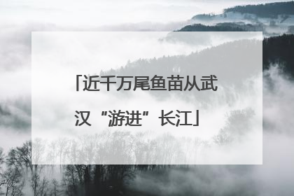 近千万尾鱼苗从武汉“游进”长江