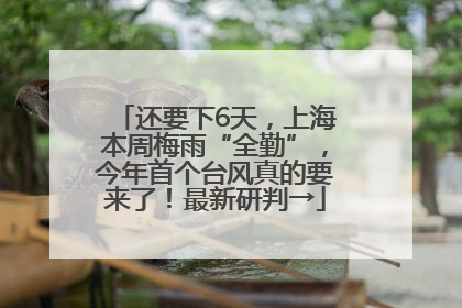 还要下6天，上海本周梅雨“全勤”，今年首个台风真的要来了！最新研判→