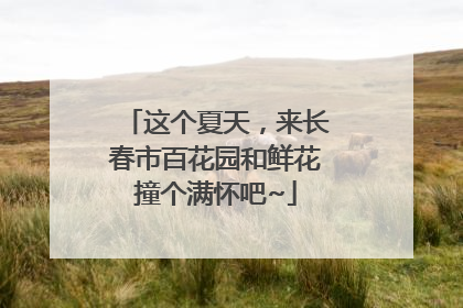 这个夏天，来长春市百花园和鲜花撞个满怀吧~
