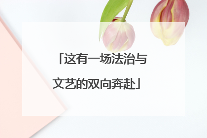 这有一场法治与文艺的双向奔赴