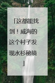 这都能找到！威海的这个村子发现水杉秘境