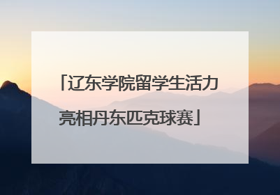 辽东学院留学生活力亮相丹东匹克球赛