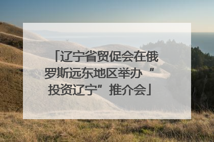 辽宁省贸促会在俄罗斯远东地区举办“投资辽宁”推介会