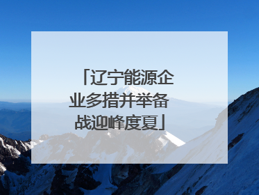辽宁能源企业多措并举备战迎峰度夏