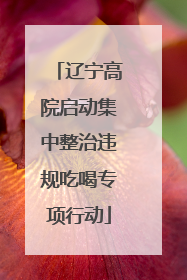 辽宁高院启动集中整治违规吃喝专项行动
