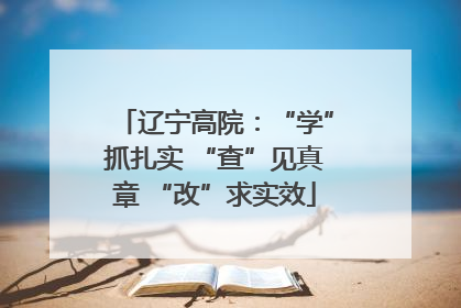 辽宁高院：“学”抓扎实 “查”见真章 “改”求实效