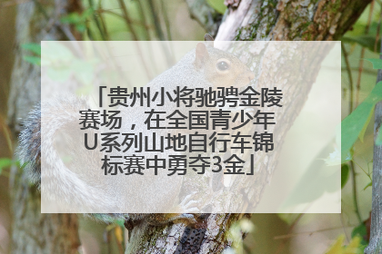 贵州小将驰骋金陵赛场，在全国青少年U系列山地自行车锦标赛中勇夺3金