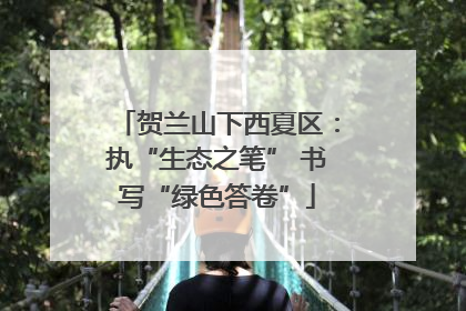 贺兰山下西夏区：执“生态之笔” 书写“绿色答卷”