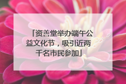 资善堂举办端午公益文化节，吸引近两千名市民参加