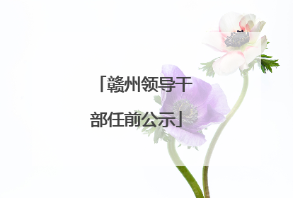 赣州领导干部任前公示