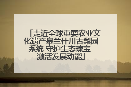 走近全球重要农业文化遗产皋兰什川古梨园系统 守护生态瑰宝 激活发展动能
