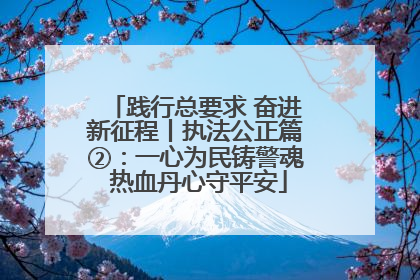 践行总要求 奋进新征程丨执法公正篇②：一心为民铸警魂 热血丹心守平安