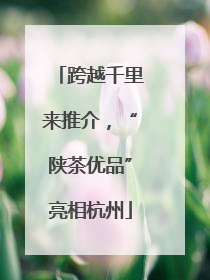 跨越千里来推介，“陕茶优品”亮相杭州