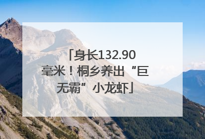 身长132.90毫米！桐乡养出“巨无霸”小龙虾