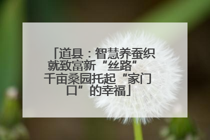 道县：智慧养蚕织就致富新“丝路” 千亩桑园托起“家门口”的幸福