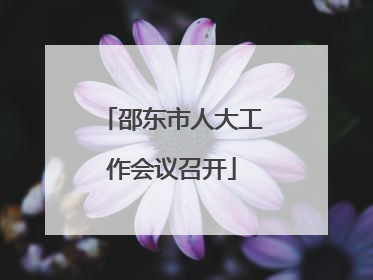 邵东市人大工作会议召开