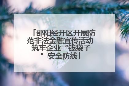 邵阳经开区开展防范非法金融宣传活动 筑牢企业“钱袋子”安全防线