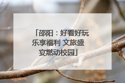 邵阳：好看好玩乐享福利 文旅盛宴燃动校园