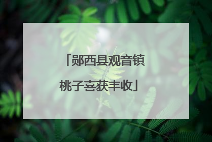 郧西县观音镇桃子喜获丰收