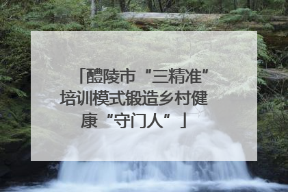 醴陵市“三精准”培训模式锻造乡村健康“守门人”