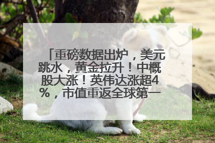 重磅数据出炉，美元跳水，黄金拉升！中概股大涨！英伟达涨超4%，市值重返全球第一！黄仁勋计划出售至多600万股股票