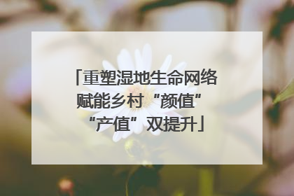 重塑湿地生命网络 赋能乡村“颜值”“产值”双提升