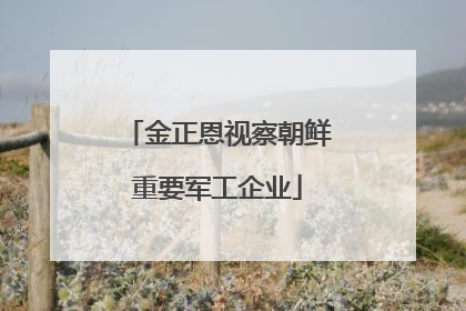 金正恩视察朝鲜重要军工企业