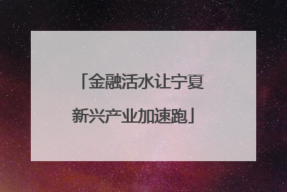 金融活水让宁夏新兴产业加速跑